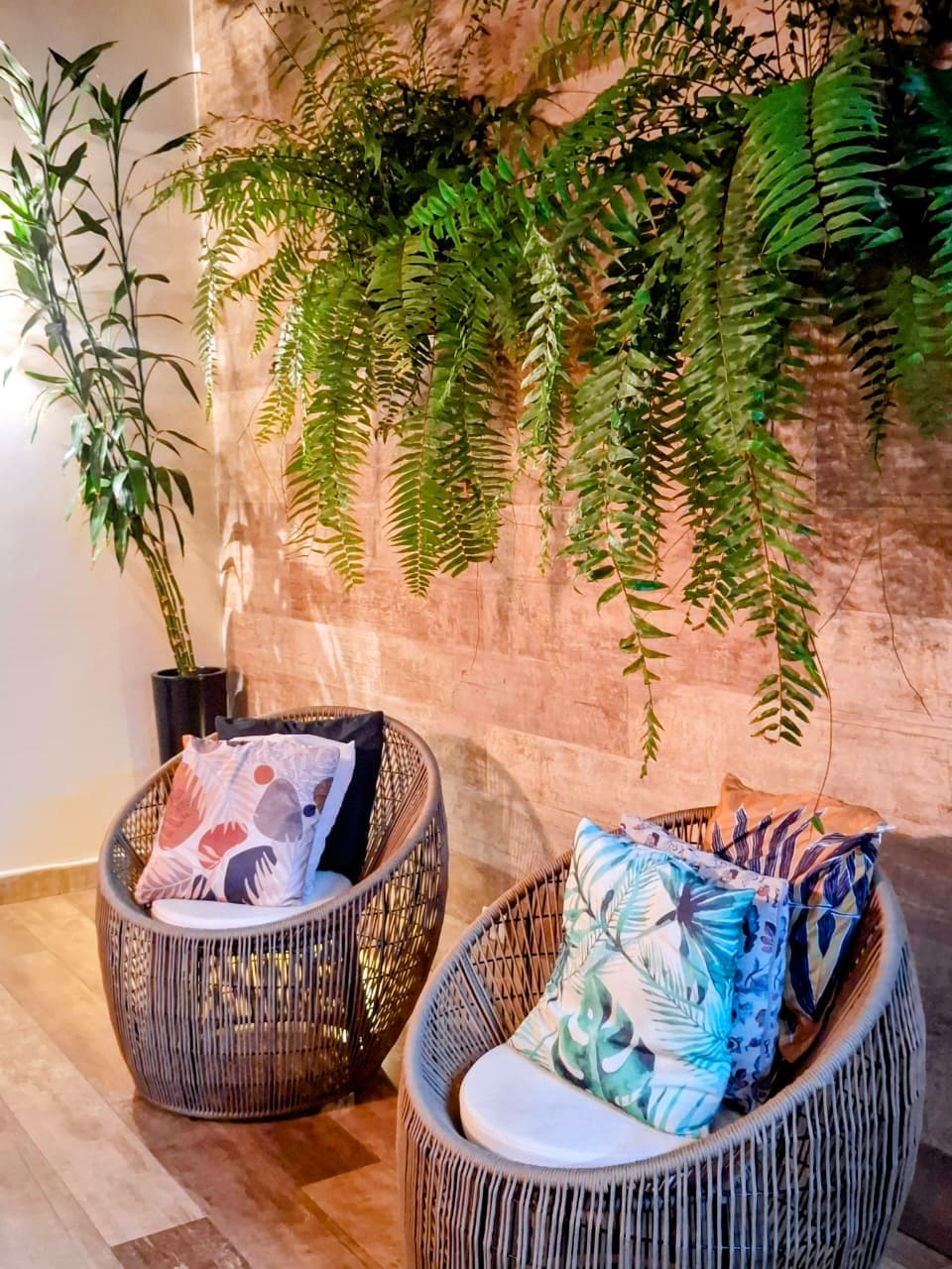 Espaço interno de descanso com poltronas e plantas